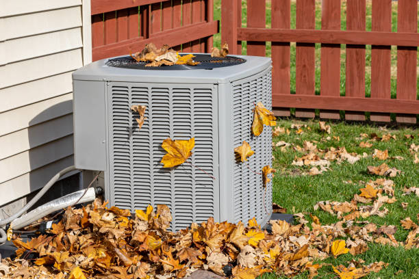 Best HVAC tune-up services  in Colfax, IA